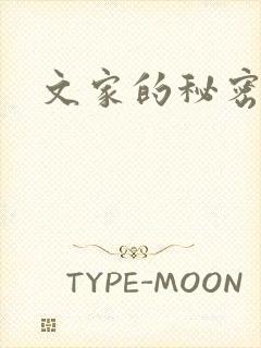 文家的秘密