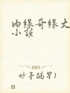 内缘奇缘大团圆小说