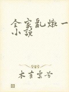 全家乱炖一锅烩小说