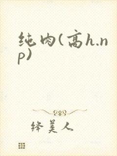纯肉(高h.np)