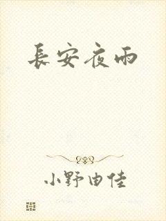 长安夜雨