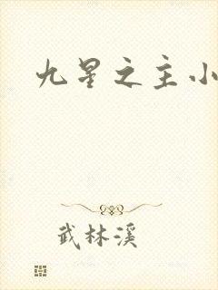 九星之主小说