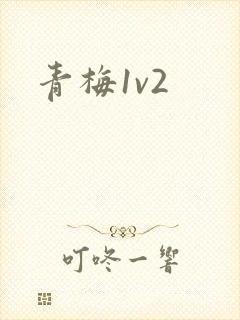 青梅1v2