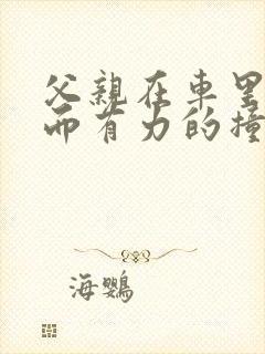 父亲在车里缓慢而有力的撞着