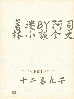 着迷BY阿司匹林小说全文免费阅读