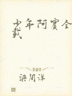 少年阿宾全集下载