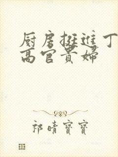 厨房挺进丁字裤高官贵妇