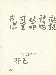 我可以稍微放进你里面吗校园版