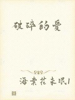 破碎的爱