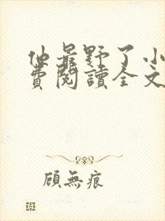 他最野了小说免费阅读全文