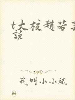 t大校赵若芸小说