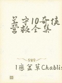 羊守10奇侠大营救全集