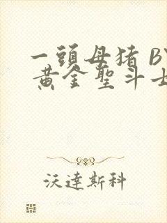 一头母猪 BY 黄金圣斗士