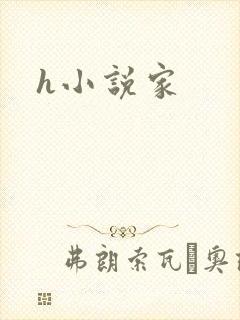 h小说家