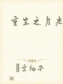 重生之月光少年