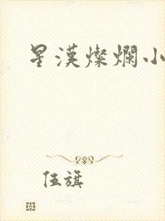 星汉灿烂小说