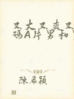 又大又爽又黄无码A片男和男