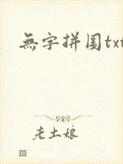 无字拼图txt