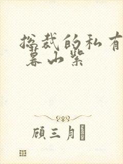 总裁的私有宝贝 暮山紫