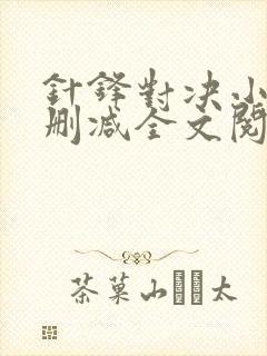 针锋对决小说未删减全文阅读