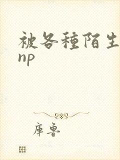 被各种陌生人 np