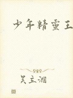 少年精灵王