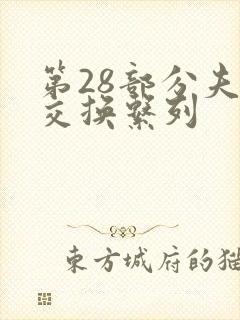 第28部分夫妇交换系列