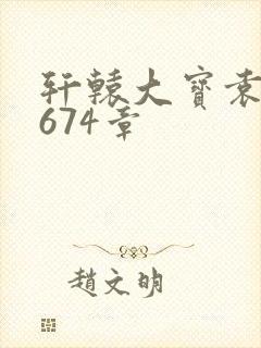 轩辕大宝袁雪妃674章