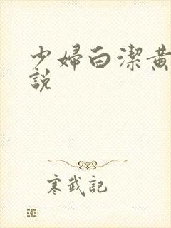 少妇白洁黄色小说