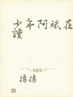 少年阿斌在线阅读