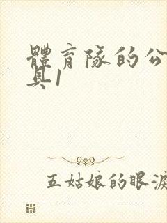 体育队的公用玩具1