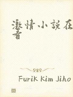 激情小说在线观看