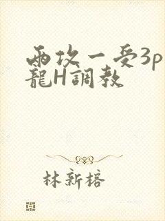 两攻一受3p双龙H调教