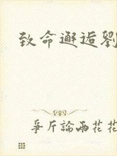 致命邂逅刘小寐