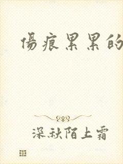 伤痕累累的勋章