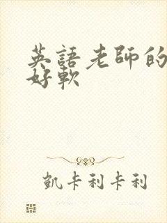 英语老师的兔子好软