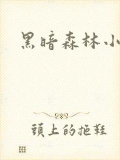 黑暗森林小说