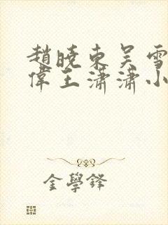 赵晓东吴雪晴郑伟王潇潇小说