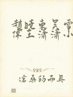 赵晓东吴雪晴郑伟王潇潇小说