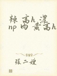 辣 高h 浓 np 肉 黄高h