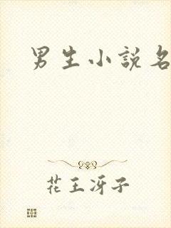 男生小说名字