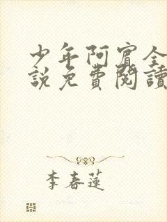 少年阿宾全文小说免费阅读笔趣阁