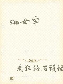 sm女牢