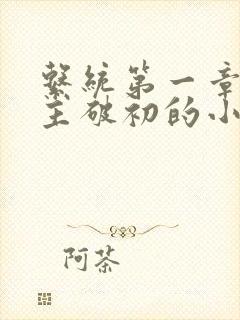 系统第一章给宿主破初的小说