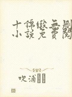 十锦缎无删原著小说免费阅读