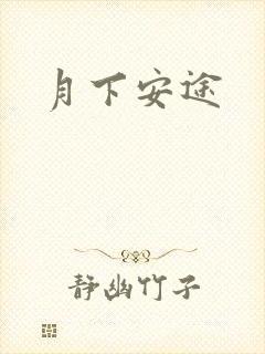月下安途