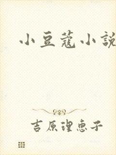 小豆蔻小说