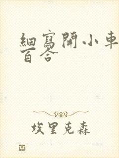 细写开小车车的百合