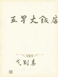 五星大饭店小说