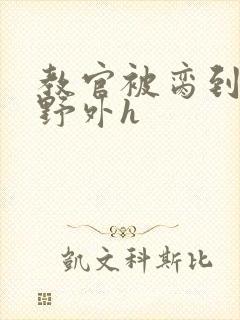 教官被脔到高潮野外h